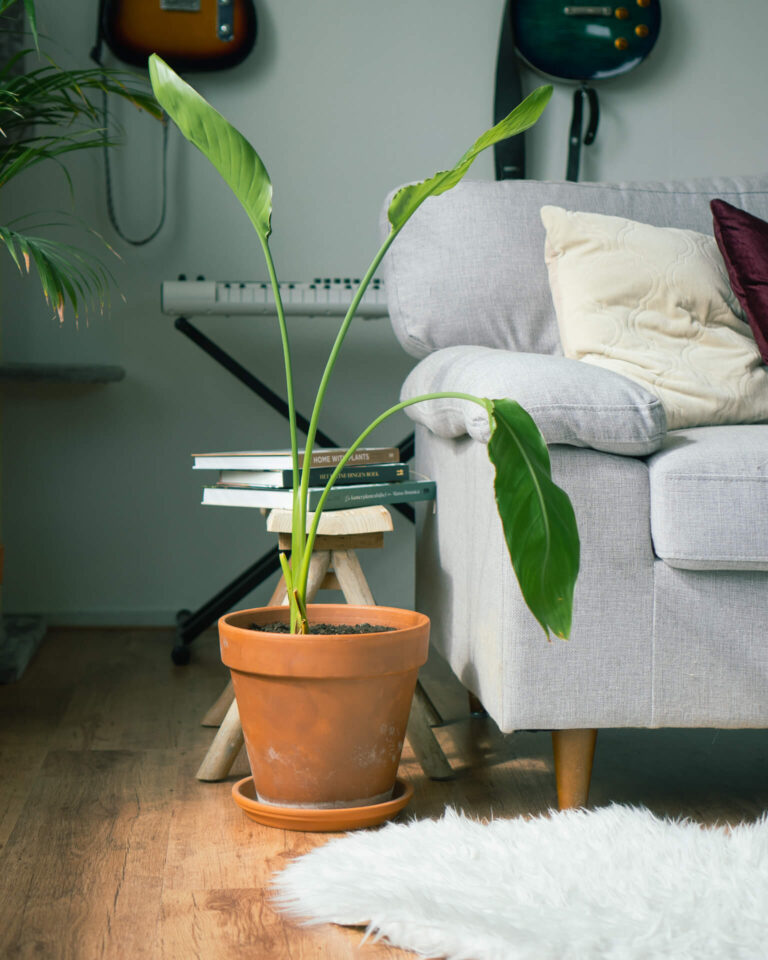 5 tips voor een duurzaam leven