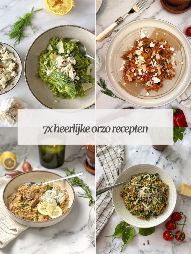 orzo recepten